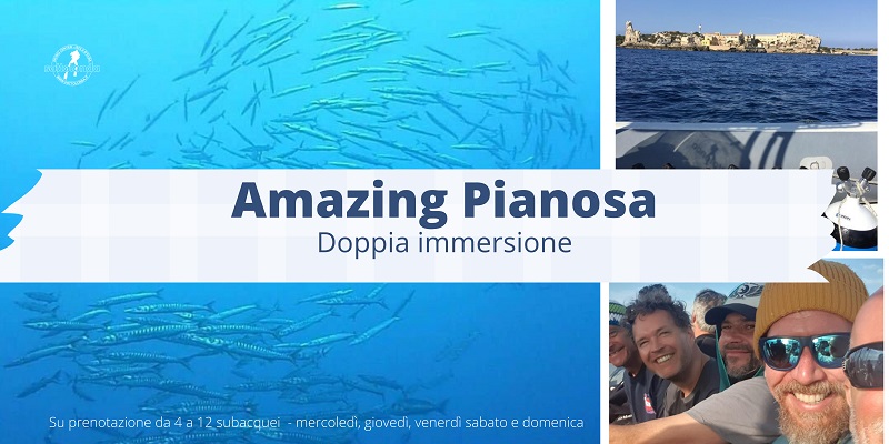 Amazing Pianosa